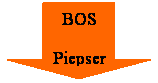 Pfeil nach unten: BOS
Piepser
